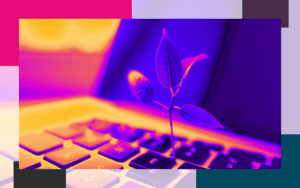 Home - Legal Marketing Agency - Ele Global Image of a plant sprouting from a laptop keyboard to represent ELE Legal Directory Consultants' overview of the Legal 500 Green Ambassadors programme.