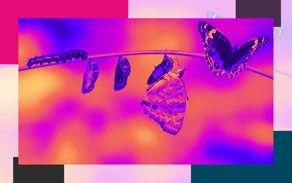 Home - Legal Marketing Agency - Ele Global Directories content packages Legal Marketing Agency