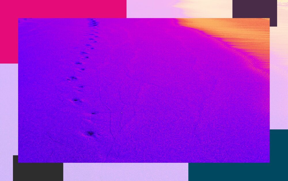 Submissions in. Dont disappear Legal Marketing Agency