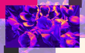 BLOG 1 Legal Marketing Agency