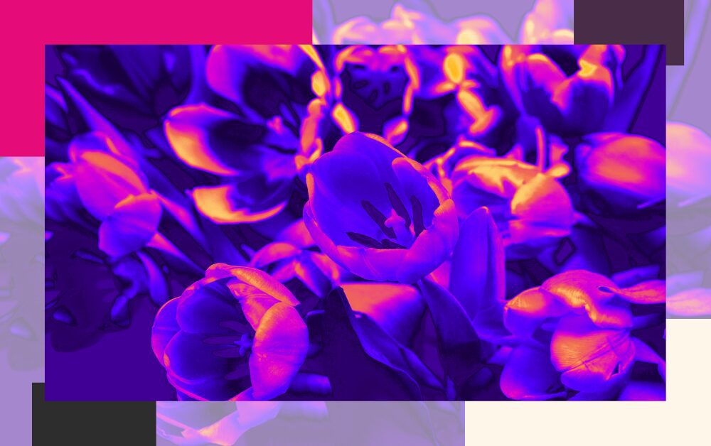 BLOG 1 Legal Marketing Agency